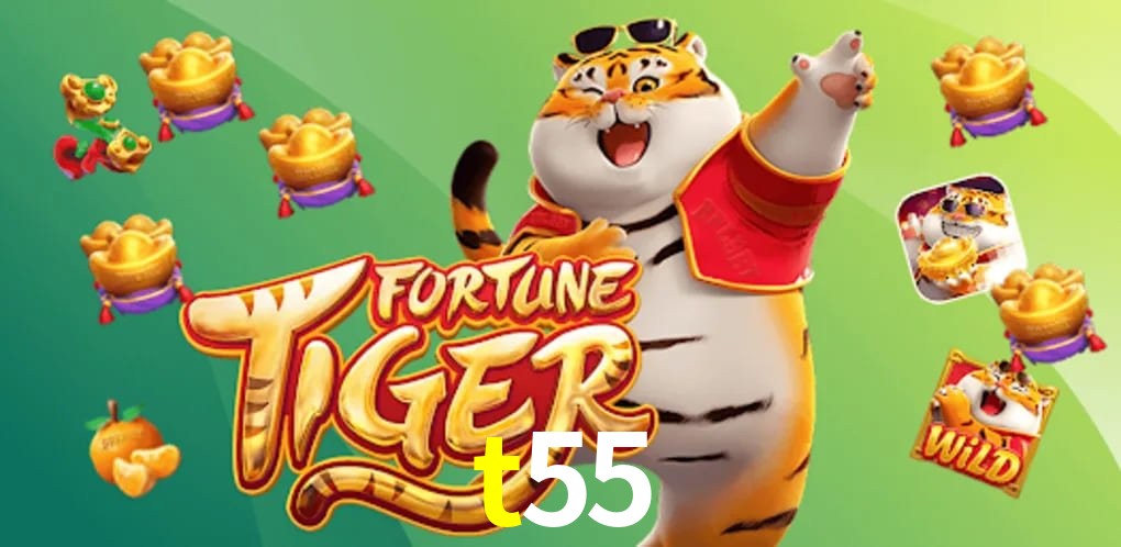 Security Systems t55